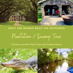 Relaunch Plantation/Swamp Tour